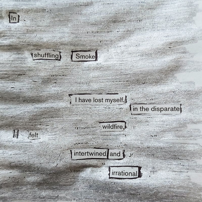 In shuffling smoke/ I have lost myself. In the disparate wildfire/ I felt intertwined/ and irrational.