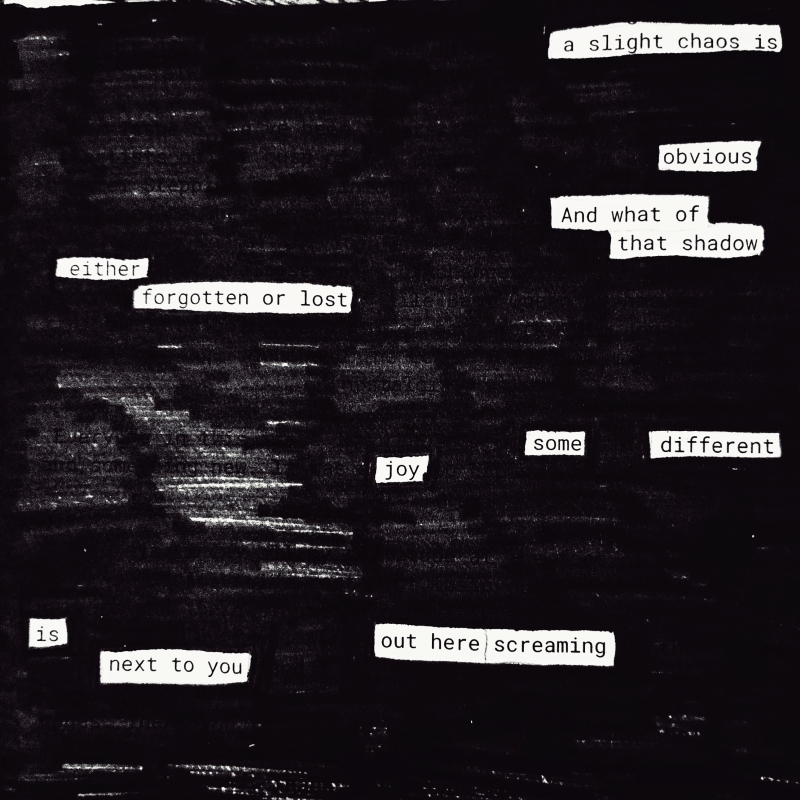 erasure poem: A slight chaos is obvious./ And what of that shadow/ either forgotten or lost?/Some different joy/ is out here screaming next to you