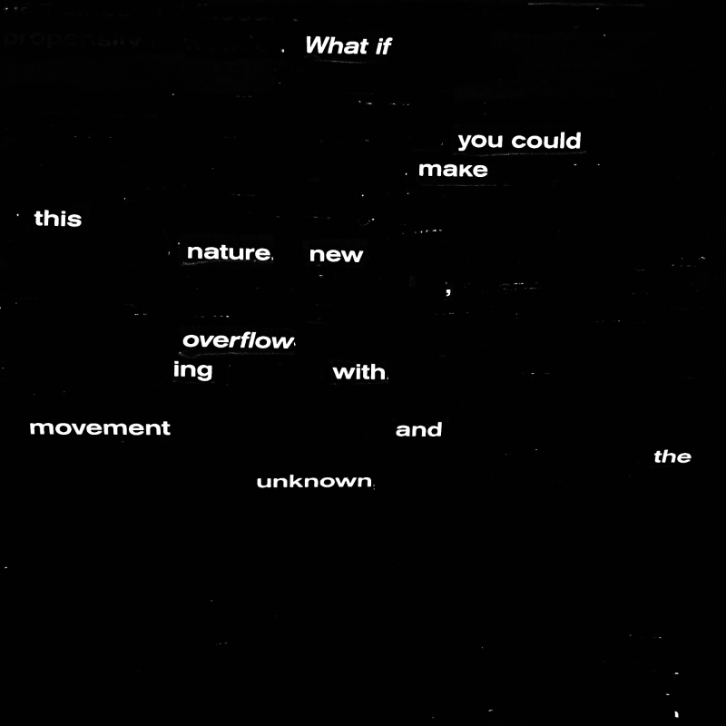 erasure poem: What if you could make this nature new/ overflowing with movement and the unknown