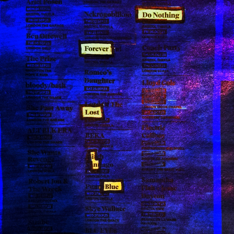 erasure poem: Do Nothing/ Forever lost/ in blue