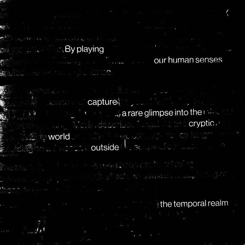erasure poem: By playing/our human senses capture/a rare glimpse into the cryptic world/ outside the temporal realm
