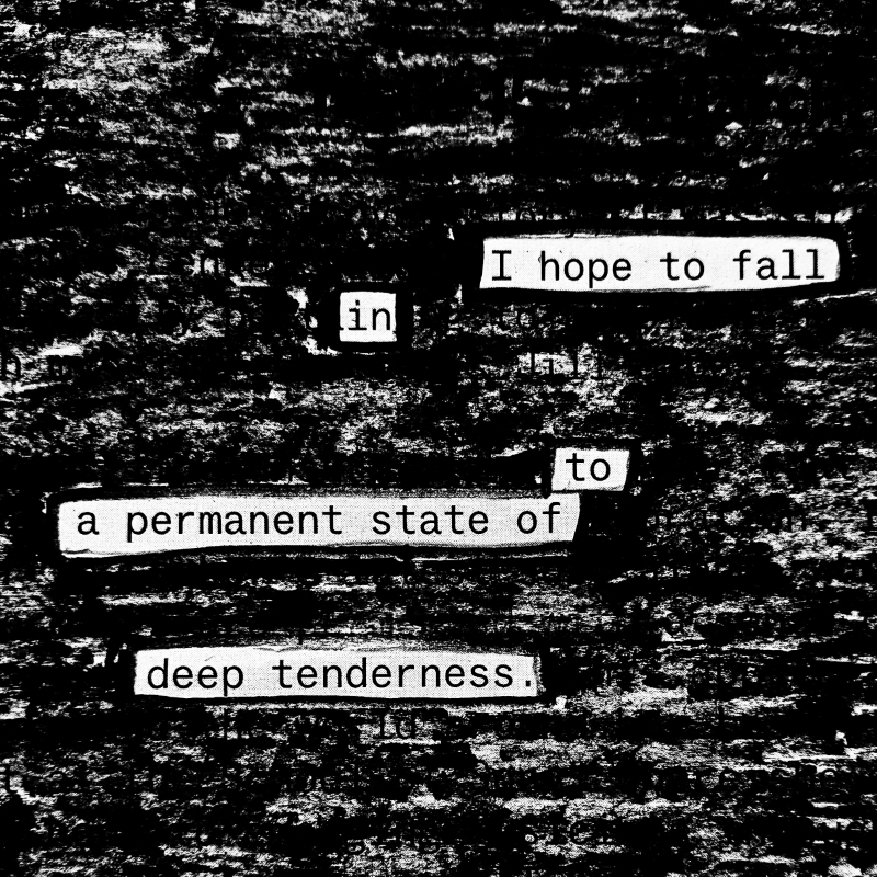 erasure poem: I hope to fall/ into a state/ of deep tenderness
